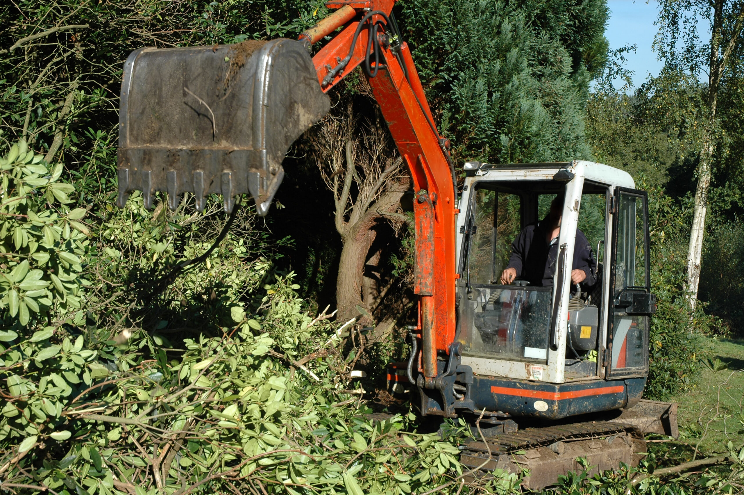 Tracked excavator clearing vegetation
