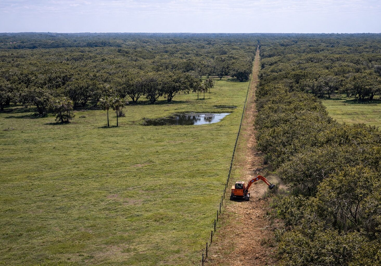 Fence Line Pic. jpeg